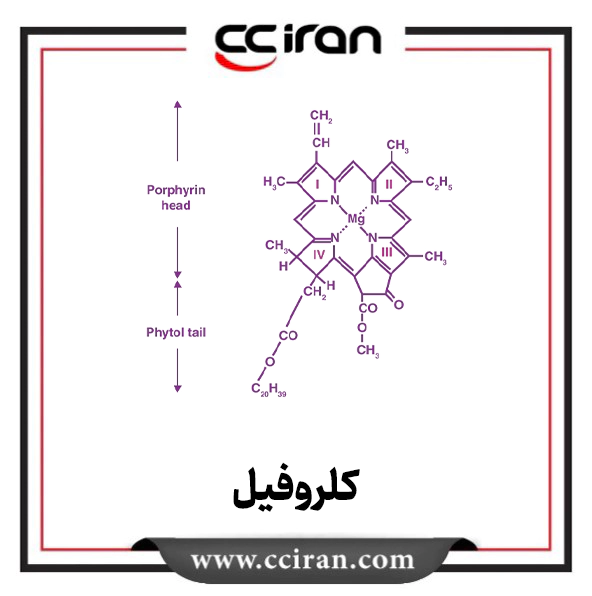 تصویر  کلروفیل