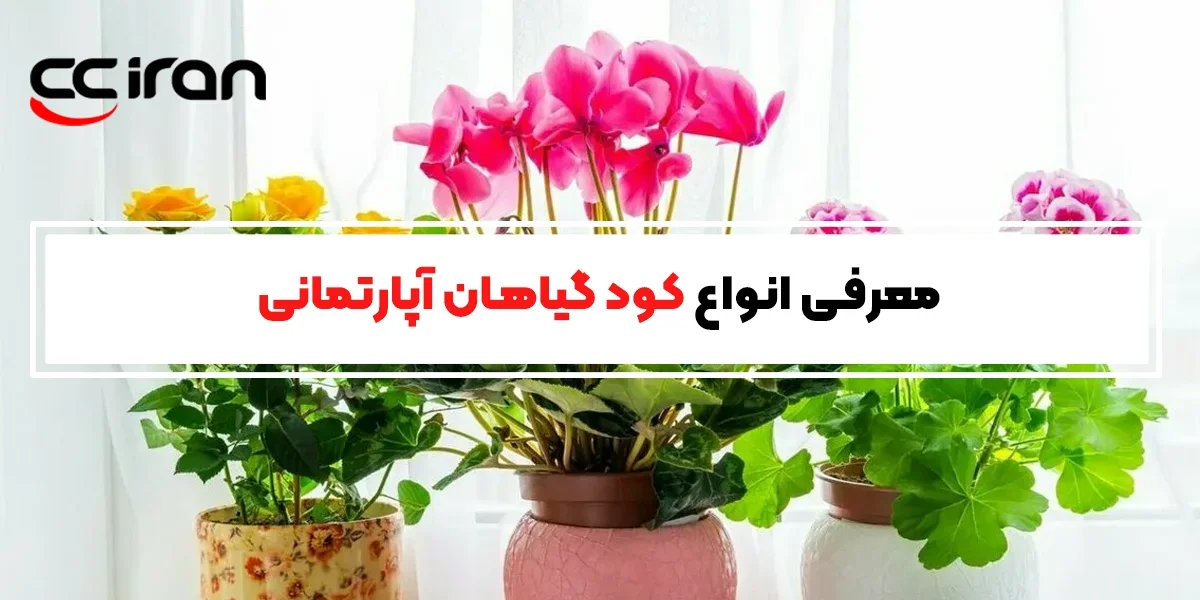 معرفی انواع کود گیاهان آپارتمانی