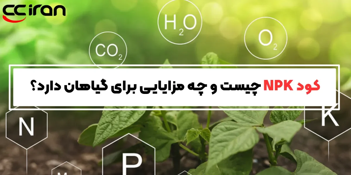 کود NPK چیست و چه مزایایی برای گیاهان دارد؟